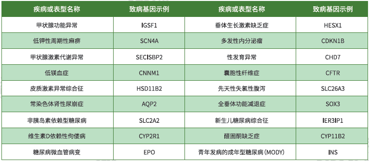 【俄罗斯专享会294基因检测】<font color='red'><font color='red'>内分泌</font>及<font color='red'>代谢</font><font color='red'>系统</font><font color='red'>疾病</font></font>致病基因鉴定基因解码